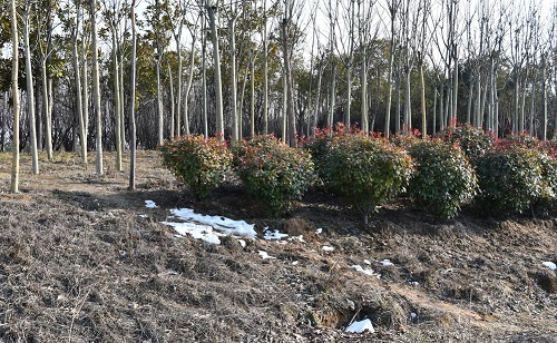 1645069126396343.png image.png