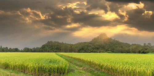 1674889311802165.png image.png