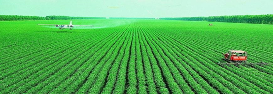 糧食種植新建實(shí)驗(yàn)室檢測項目及儀器方案